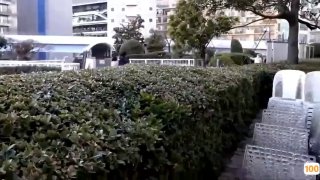 情侣内裤 性感的⭕❌❌杜牡丹丝袜黑色高跟鞋